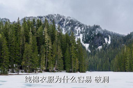 純棉衣服為什么容易 破洞