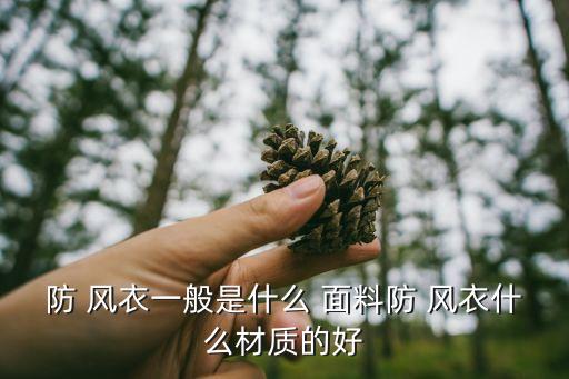 防 風(fēng)衣一般是什么 面料防 風(fēng)衣什么材質(zhì)的好