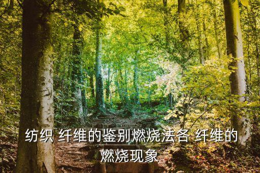 紡織 纖維的鑒別燃燒法各 纖維的燃燒現(xiàn)象