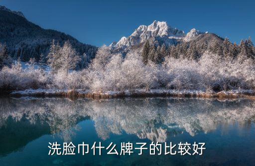 洗臉巾什么牌子的比較好