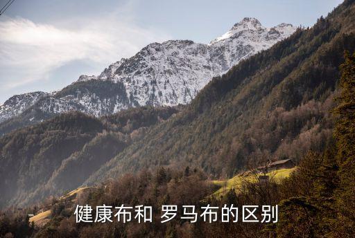 300克進口羅馬面料多少錢,進口羅馬棉面料好嗎?