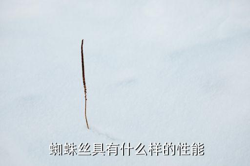  蜘蛛絲具有什么樣的性能