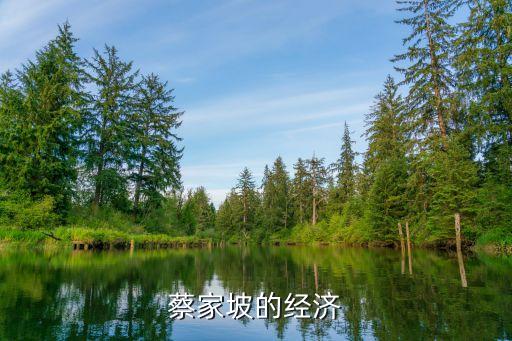 寶雞三大紡織廠,寶雞紡織廠在什么地方