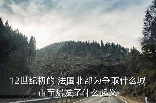 12世紀(jì)初的 法國北部為爭取什么城市而爆發(fā)了什么起義