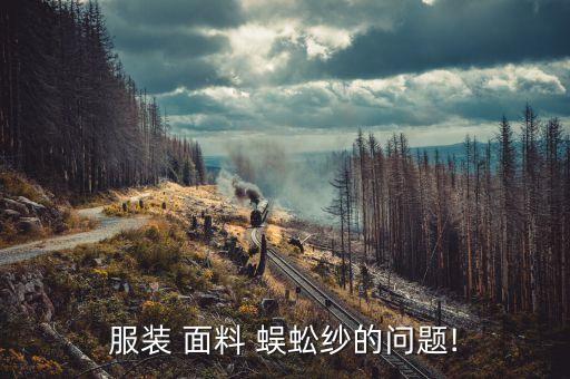 服裝 面料 蜈蚣紗的問題!