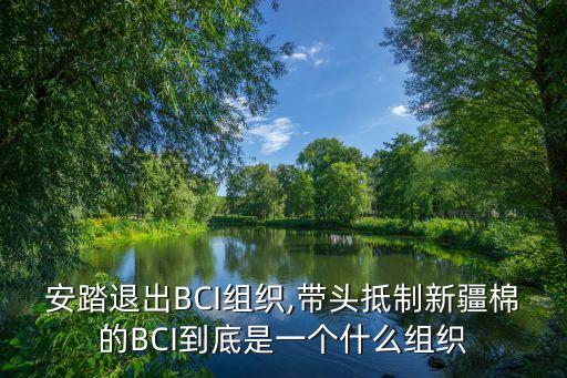 安踏退出BCI組織,帶頭抵制新疆棉的BCI到底是一個什么組織