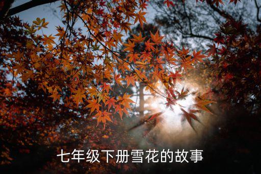 七年級下冊雪花的故事
