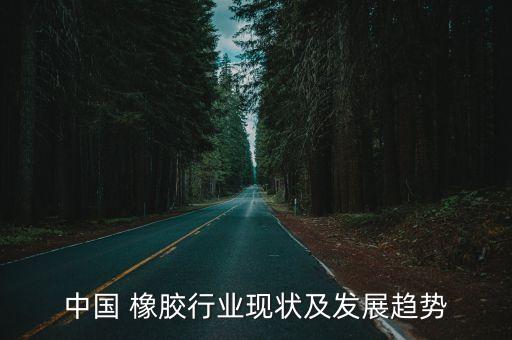 中國 橡膠行業(yè)現(xiàn)狀及發(fā)展趨勢