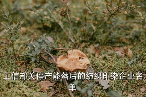 浙江得偉防織有限公司