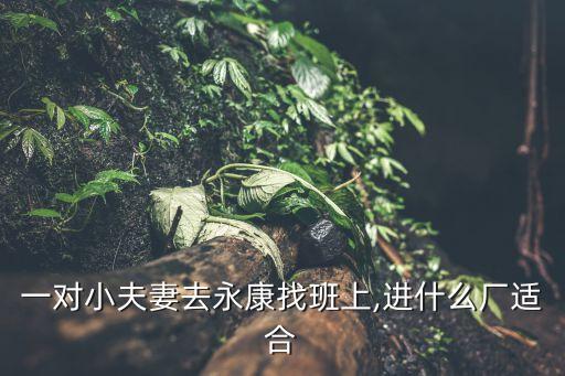 一對小夫妻去永康找班上,進(jìn)什么廠適合