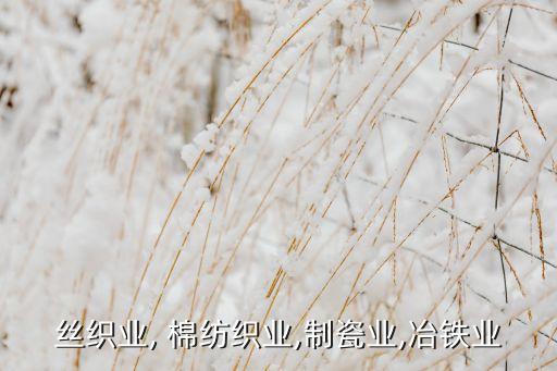 絲織業(yè), 棉紡織業(yè),制瓷業(yè),冶鐵業(yè)