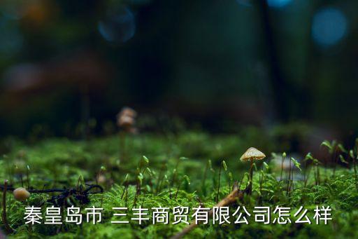 秦皇島市 三豐商貿(mào)有限公司怎么樣