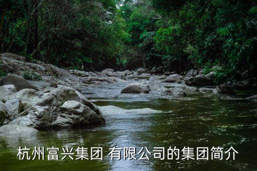 四川康寶興紡紗有限公司,四川華能寶興河水電有限公司