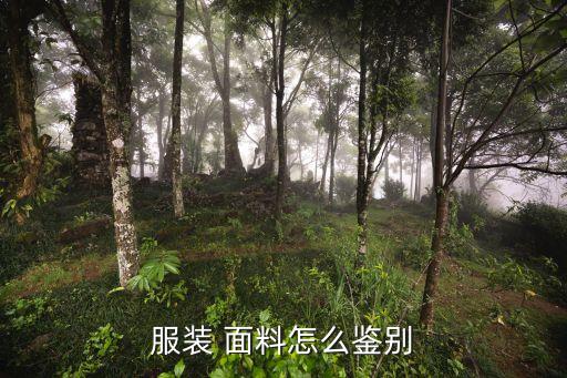 服裝 面料怎么鑒別
