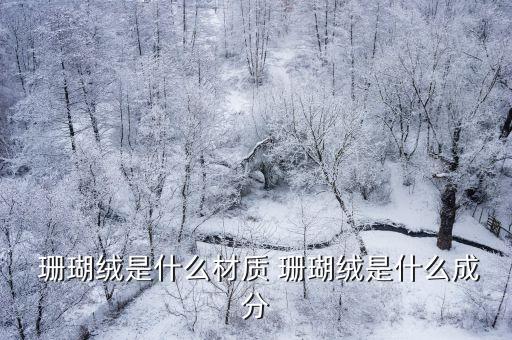 珊瑚絨面料最高密度,什么面料密度最高
