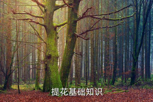  提花基礎知識