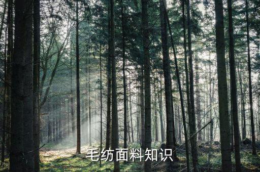 毛紡面料知識
