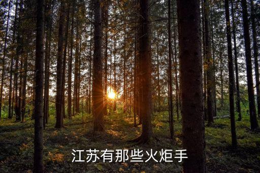 江蘇有那些火炬手