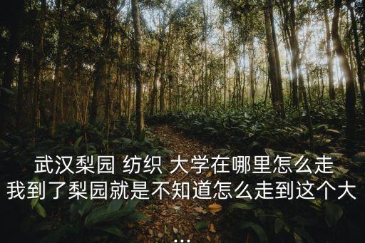  武漢梨園 紡織 大學(xué)在哪里怎么走我到了梨園就是不知道怎么走到這個(gè)大...