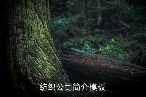 紡織公司簡(jiǎn)介模板