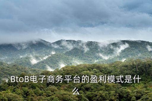 BtoB電子商務(wù)平臺的盈利模式是什么