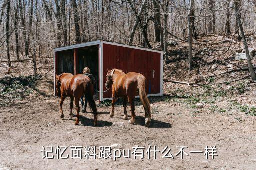 形狀記憶功能纖維及紡織品,羊毛纖維具有形狀記憶功能的原理