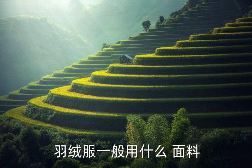 羽絨服面料名稱