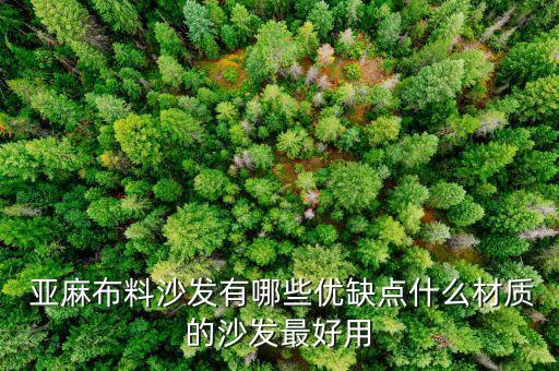  亞麻布料沙發(fā)有哪些優(yōu)缺點(diǎn)什么材質(zhì)的沙發(fā)最好用