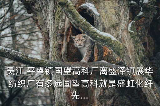 吳江 平望鎮(zhèn)國(guó)望高科廠離盛澤鎮(zhèn)展華 紡織廠有多遠(yuǎn)國(guó)望高科就是盛虹化纖先...
