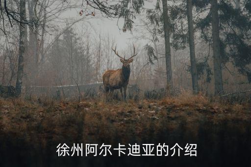  徐州阿爾卡迪亞的介紹