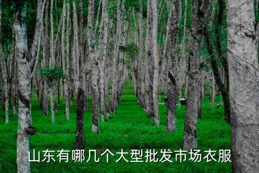 山東有哪幾個(gè)大型批發(fā)市場(chǎng)衣服