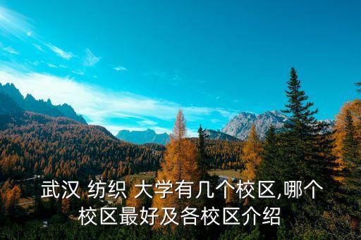  武漢 紡織 大學(xué)有幾個(gè)校區(qū),哪個(gè)校區(qū)最好及各校區(qū)介紹