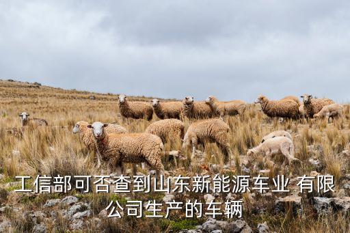 工信部可否查到山東新能源車(chē)業(yè) 有限公司生產(chǎn)的車(chē)輛