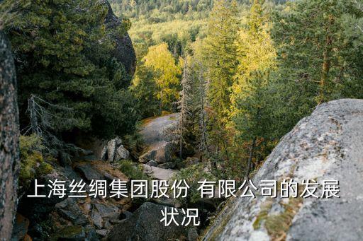  上海絲綢集團(tuán)股份 有限公司的發(fā)展?fàn)顩r