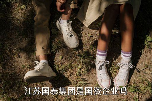 江蘇國(guó)泰集團(tuán)是國(guó)資企業(yè)嗎