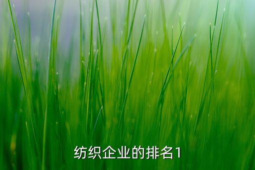 紡織企業(yè)的排名1