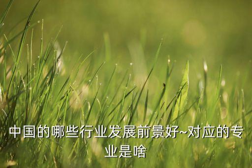 中國(guó)的哪些行業(yè)發(fā)展前景好~對(duì)應(yīng)的專業(yè)是啥