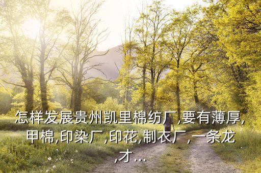 全國(guó)純棉布紡織廠,蒼南龍港棉布紡織廠