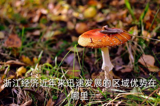 浙江省紡織服裝出口額,2022年紡織服裝出口額