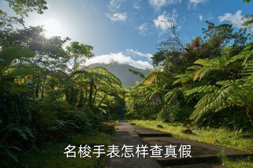  名梭手表怎樣查真假