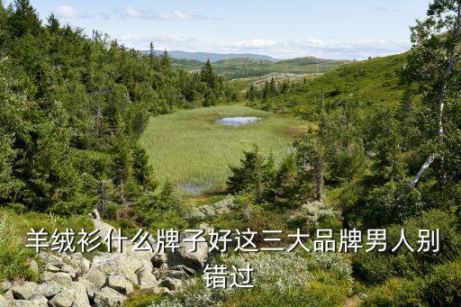  羊絨衫什么牌子好這三大品牌男人別錯過