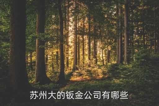 蘇州大的鈑金公司有哪些