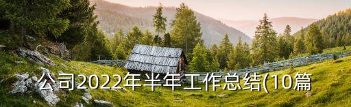 公司2022年半年工作總結(jié)(10篇