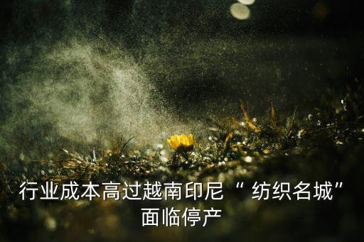 行業(yè)成本高過(guò)越南印尼“ 紡織名城”面臨停產(chǎn)