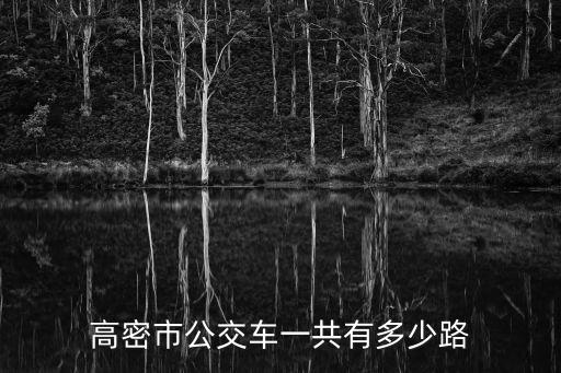 高密市公交車一共有多少路