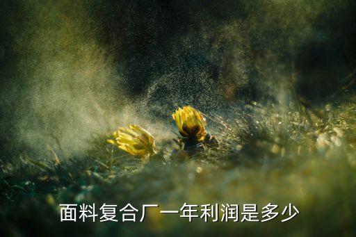  面料復(fù)合廠一年利潤(rùn)是多少