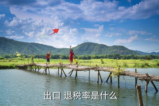  出口 退稅率是什么