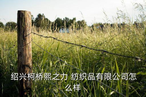 紹興紡織電動機,紹興大樹紡織