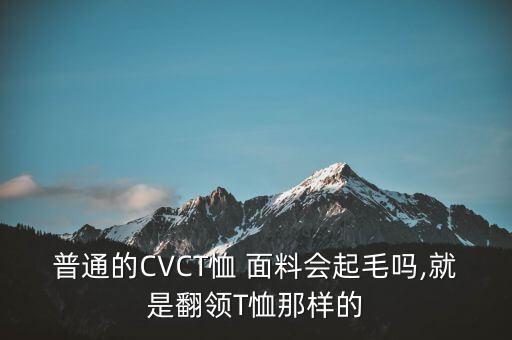 普通的CVCT恤 面料會起毛嗎,就是翻領(lǐng)T恤那樣的