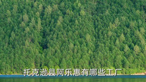 托克遜縣阿樂惠有哪些工廠